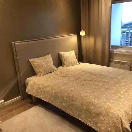 Unique Center 3-rooms Panoramic View With Free Parking טרונדהיים